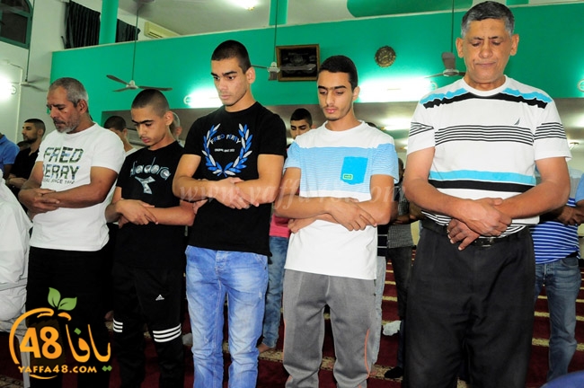 zatona mosque (4).JPG